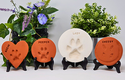 paw prints in varying colors and shapes